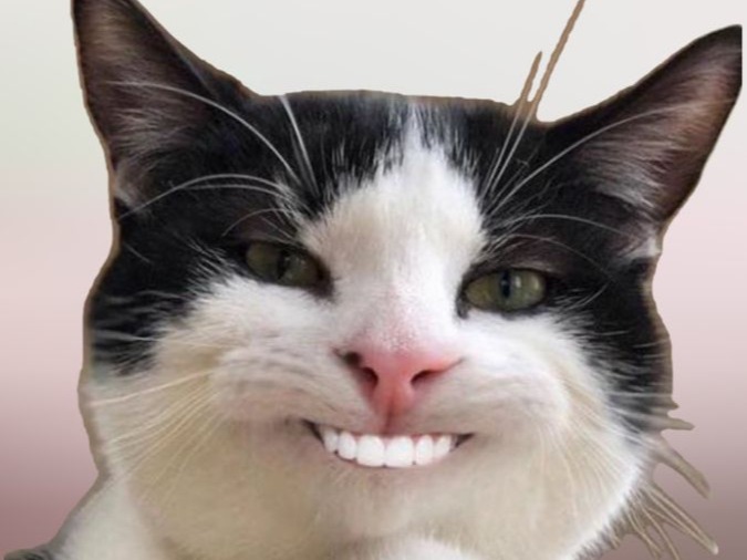 Judul video pelatihan jumat 05 juni 2025