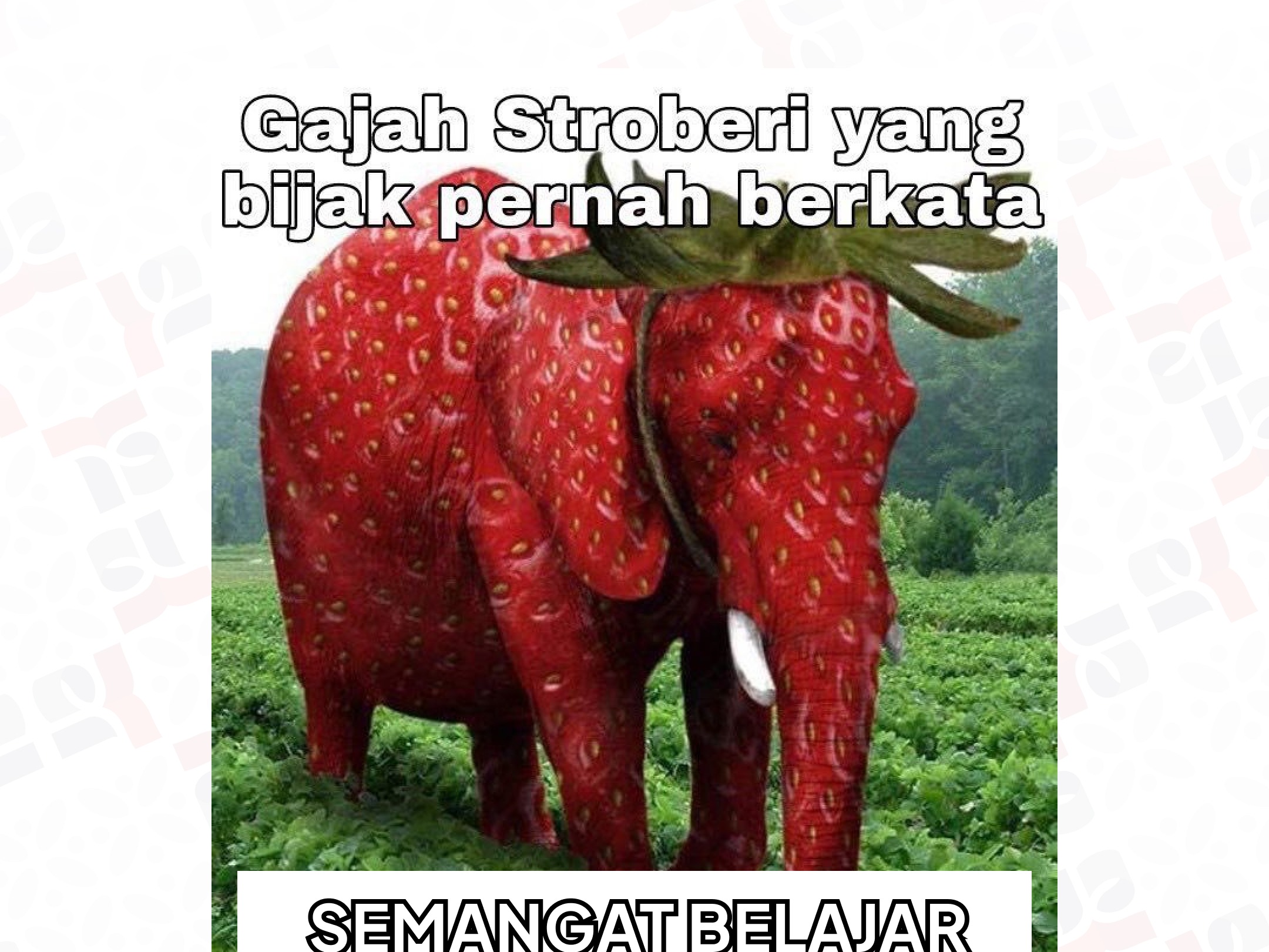 Judul video pelatihan jumat 05 juni 2025