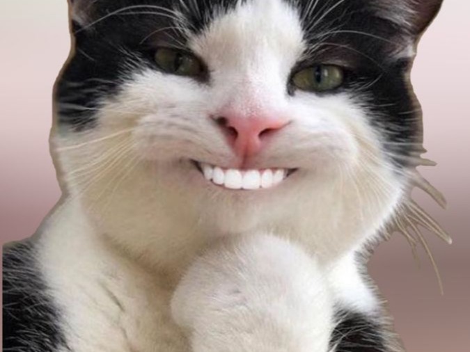 Judul video pelatihan jumat 05 juni 2025